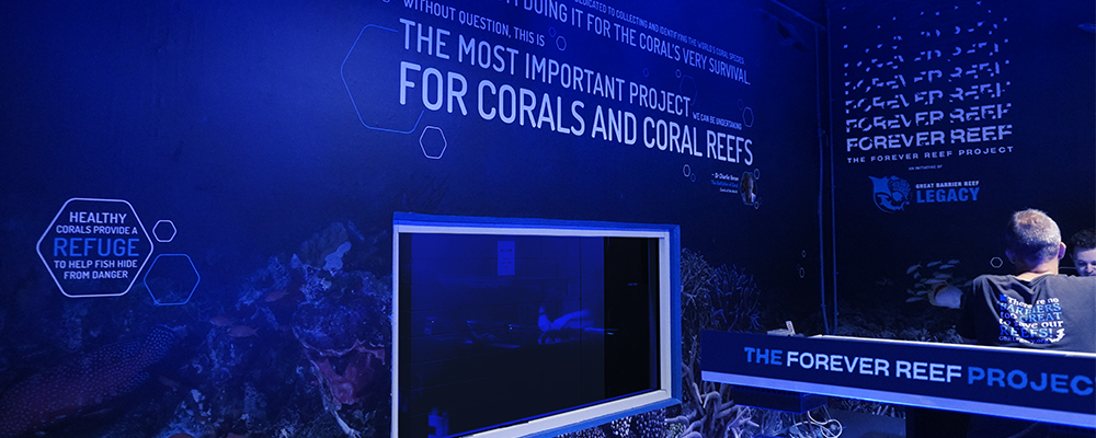 The Forever Reef Project Cairns Aquarium Facility